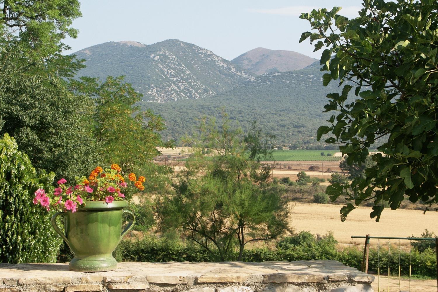 Hotel Domaine De Blancardy Moulès-et-Baucels Esterno foto